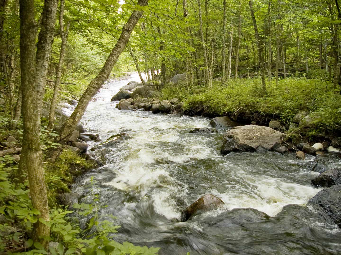 Montcalm, nature et tranquillité… Montcalm, là où c’est bon de vivre.
