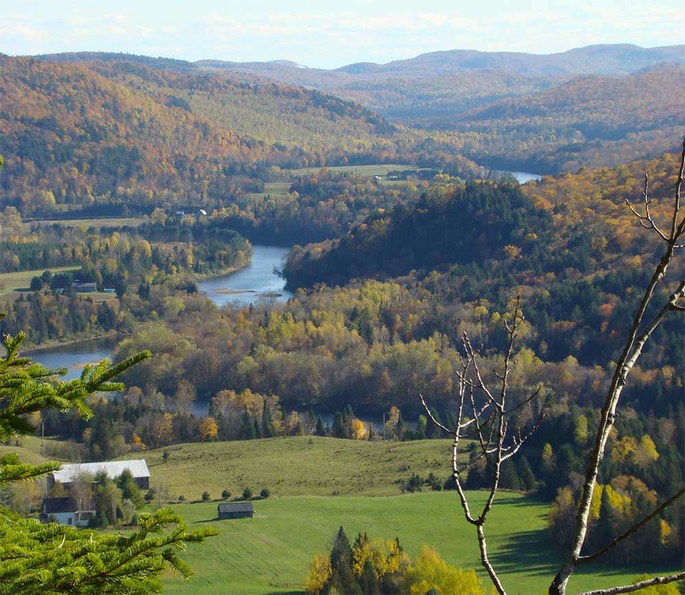 The Pointe At Arundel Preserve