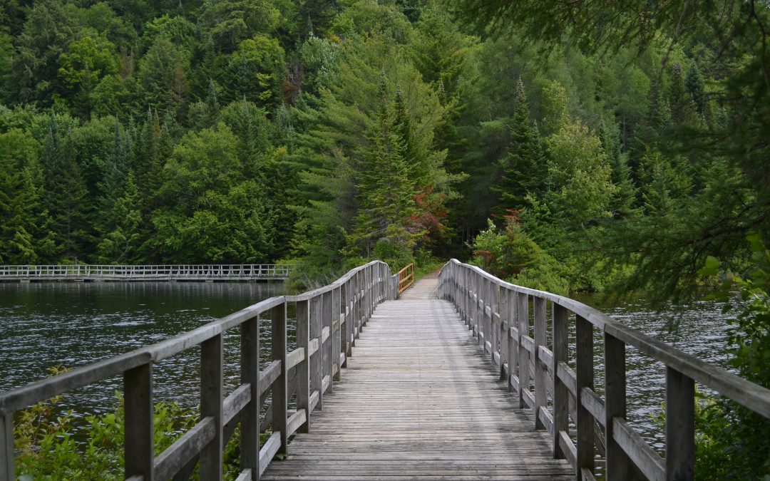 COMMUNIQUÉ –  Le parc Éco renouvelle ses célèbres passerelles sur l’eau