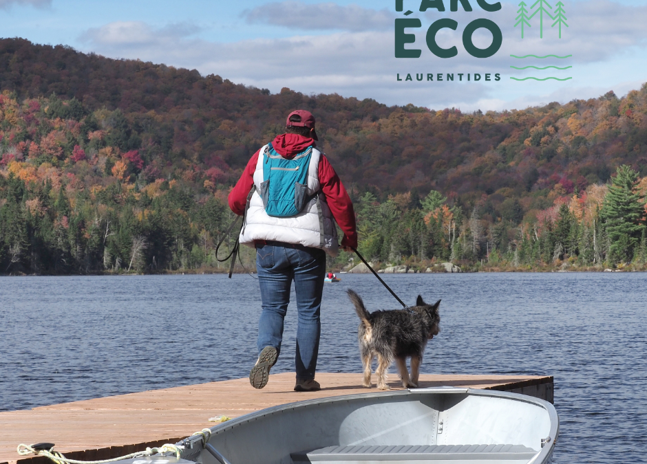 COMMUNIQUÉ – Opportunités d’affaires pour le développement d’une offre de tourisme canin au parc Éco- Laurentides